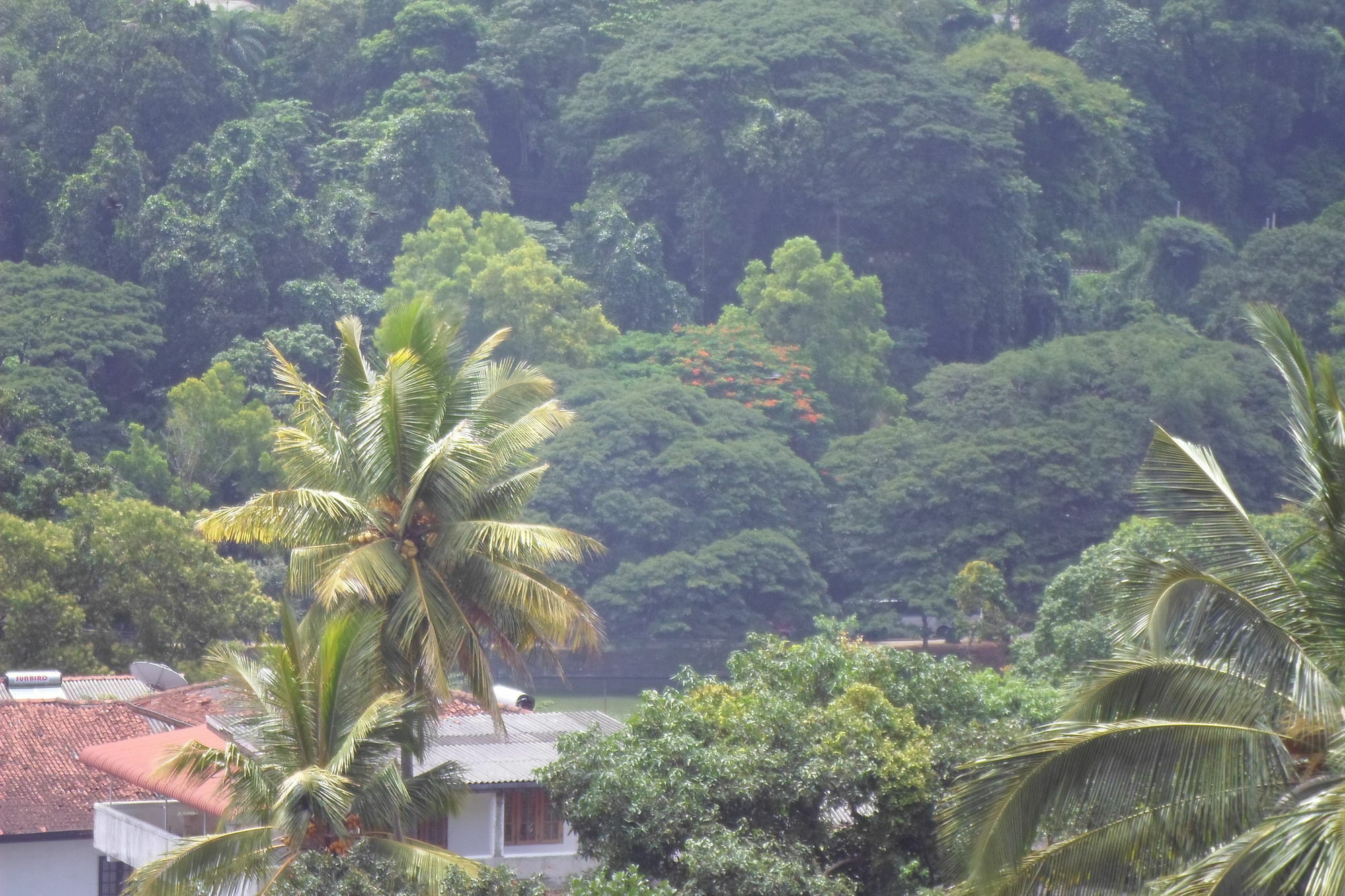 King Of Kandy Exterior photo